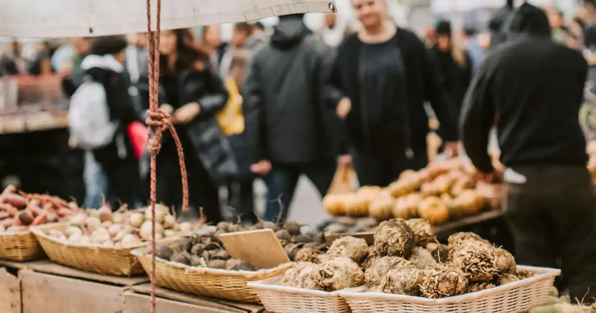 Escapade Gourmande en France : Top Destinations 2026