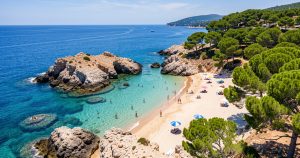 Plage des Éclaireurs : le petit coin de paradis dog-friendly aux Issambres