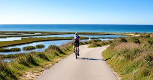 Vacances Île de Ré : que faire, voir et vivre ? Guide complet 2026