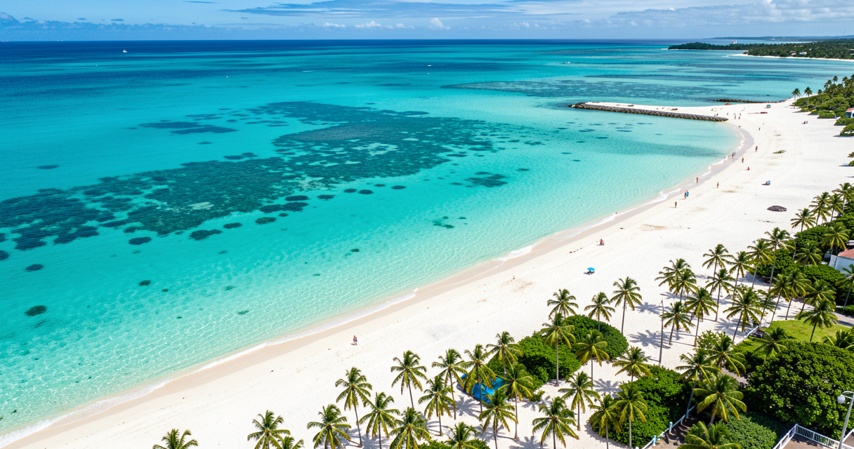 Les 10 incontournables de la Martinique en 2026