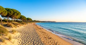 Que faire à Frontignan Plage en 2026 ? 25 activités mer, vignes, nature