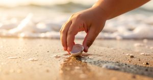 Ramasser des coquillages sur la plage : le guide 2026